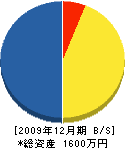 田川組 貸借対照表 2009年12月期
