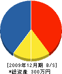 松井建具店 貸借対照表 2009年12月期