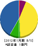 菊地電気 貸借対照表 2012年1月期