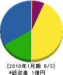 菊地電気 貸借対照表 2010年1月期
