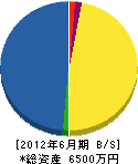 太田電気商会 貸借対照表 2012年6月期