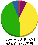 矢野商店 貸借対照表 2009年12月期