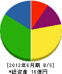大糸 貸借対照表 2012年6月期
