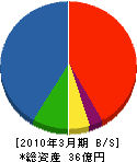 池田工建 貸借対照表 2010年3月期