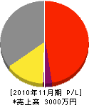松岡 損益計算書 2010年11月期
