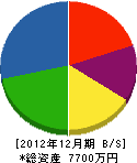 マル庄丸市組 貸借対照表 2012年12月期