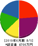 武田衛土建工業 貸借対照表 2010年6月期