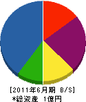 赤塚設備 貸借対照表 2011年6月期