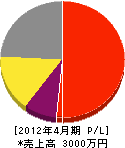 長崎塗装店 損益計算書 2012年4月期