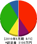弘成工業 貸借対照表 2010年6月期