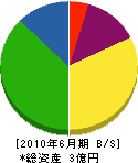 鑓田木材 貸借対照表 2010年6月期