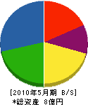 武井工務所 貸借対照表 2010年5月期