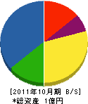 錦工務店 貸借対照表 2011年10月期