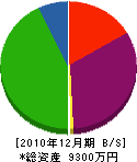 黒石開発 貸借対照表 2010年12月期