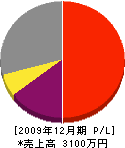 ナカムラ塗装店 損益計算書 2009年12月期
