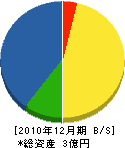 土井豆組 貸借対照表 2010年12月期