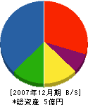田澤建設 貸借対照表 2007年12月期