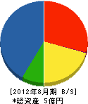 永井建設 貸借対照表 2012年8月期