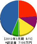高橋電気商会 貸借対照表 2012年3月期
