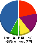 渡辺工業 貸借対照表 2013年3月期