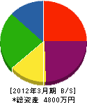 町田塗装 貸借対照表 2012年3月期