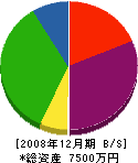 松寺建設運輸 貸借対照表 2008年12月期