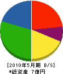 片山土建 貸借対照表 2010年5月期