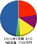 平井商店 貸借対照表 2012年3月期