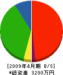坂井興業 貸借対照表 2009年4月期