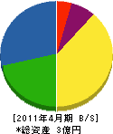 三栄商事 貸借対照表 2011年4月期