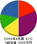 アキヤマ 貸借対照表 2009年4月期