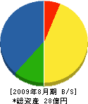 日本データーサービス 貸借対照表 2009年8月期