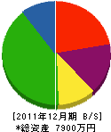 西垣工業 貸借対照表 2011年12月期