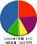 細田電気工事 貸借対照表 2009年7月期