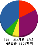 川永建設 貸借対照表 2011年3月期