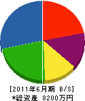 秋山建設 貸借対照表 2011年6月期
