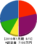 浜田建設 貸借対照表 2010年1月期
