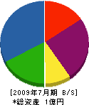 矢野電気商会 貸借対照表 2009年7月期