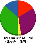 辻元塗装工業 貸借対照表 2010年12月期