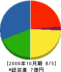 田代組 貸借対照表 2008年10月期