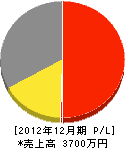 塚田工業 損益計算書 2012年12月期
