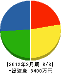 ヤマサキ 貸借対照表 2012年9月期
