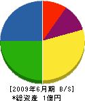 昭栄電気 貸借対照表 2009年6月期