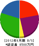 沢井工業 貸借対照表 2012年6月期