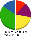 平栗 貸借対照表 2010年12月期