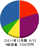 堀水電気 貸借対照表 2011年12月期