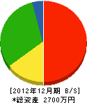斉藤建設 貸借対照表 2012年12月期