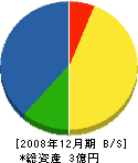 田中土木 貸借対照表 2008年12月期