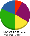 ＊田海事工業 貸借対照表 2009年5月期