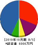 共伸電気 貸借対照表 2010年10月期